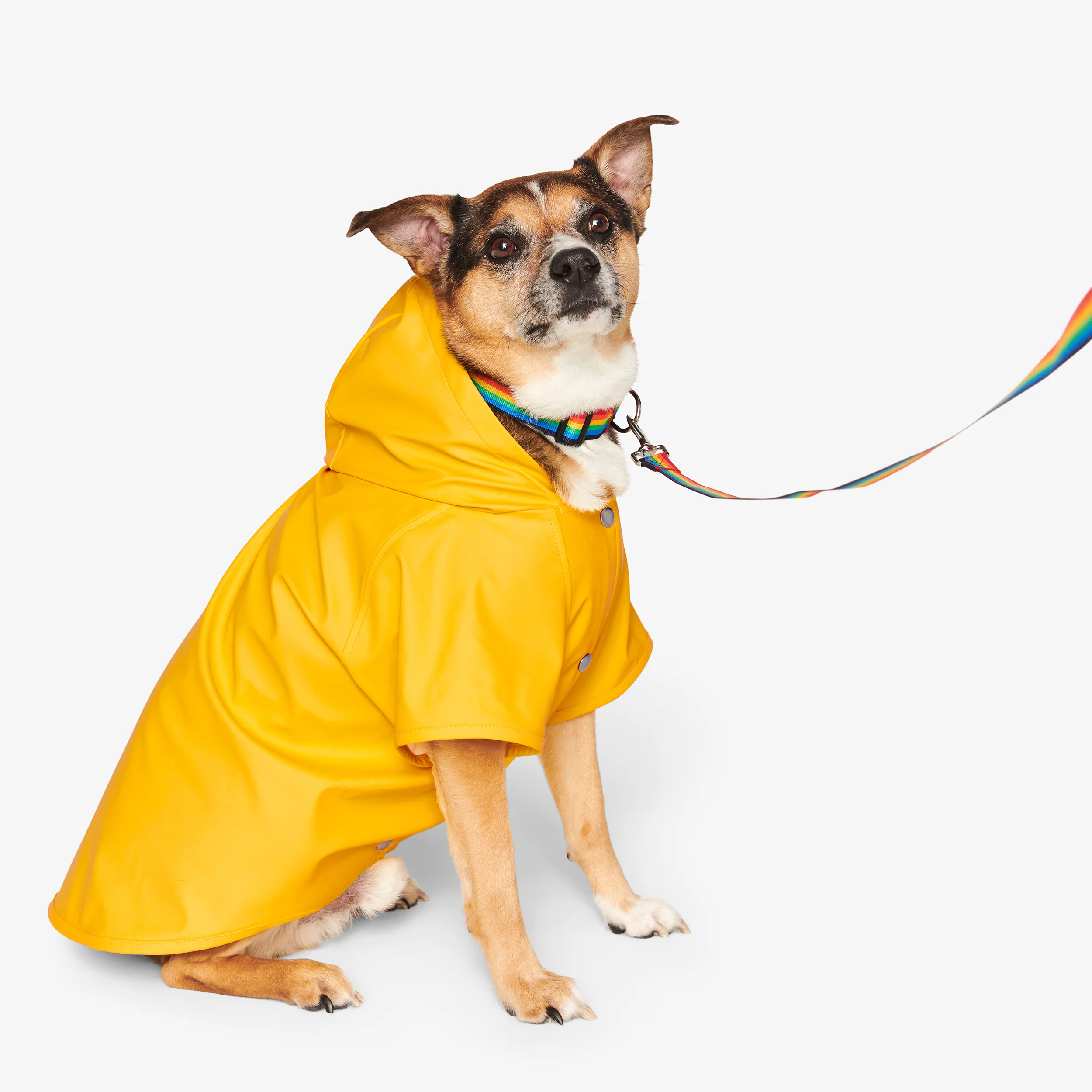 Pet raincoat