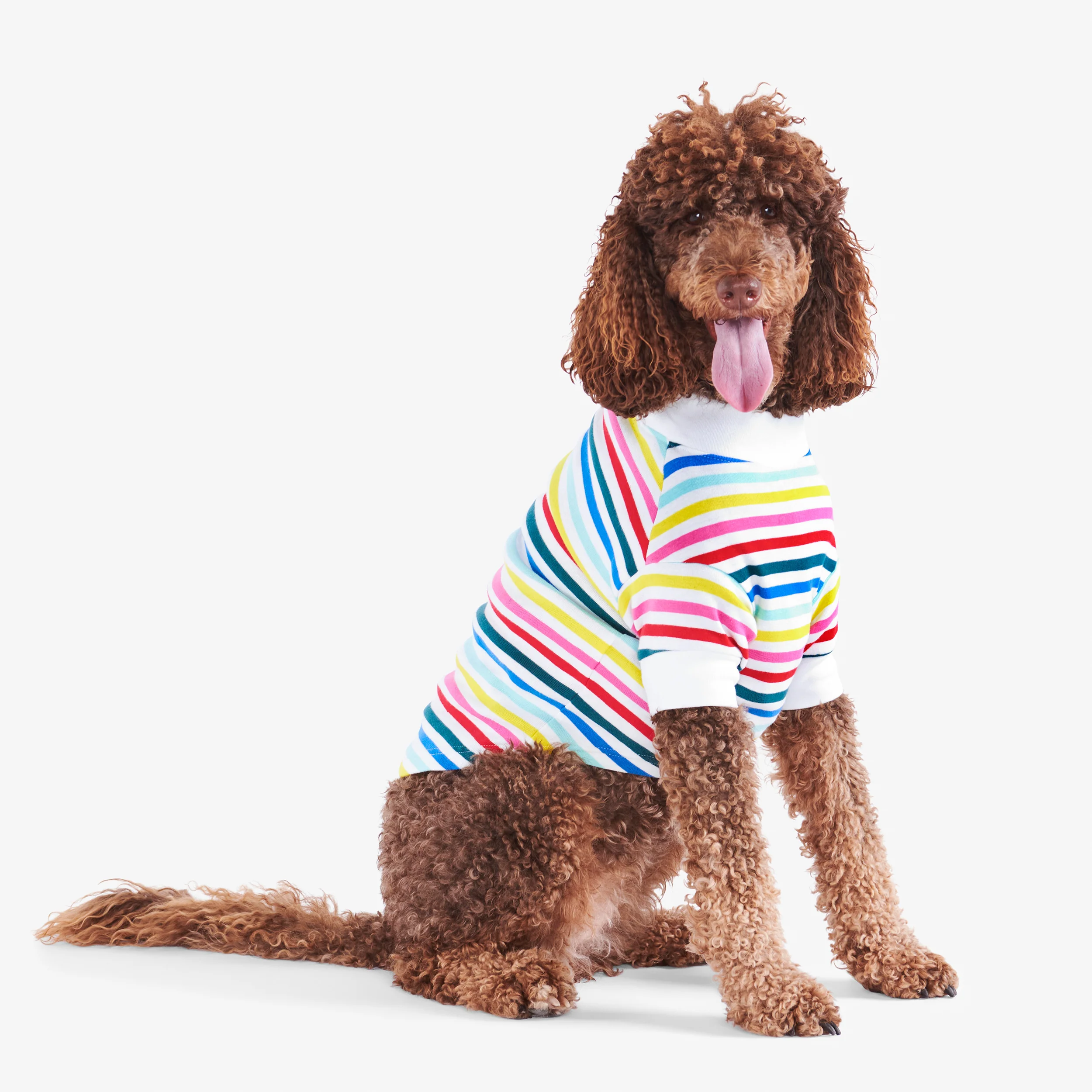 Pet organic pj top in wonderland stripe