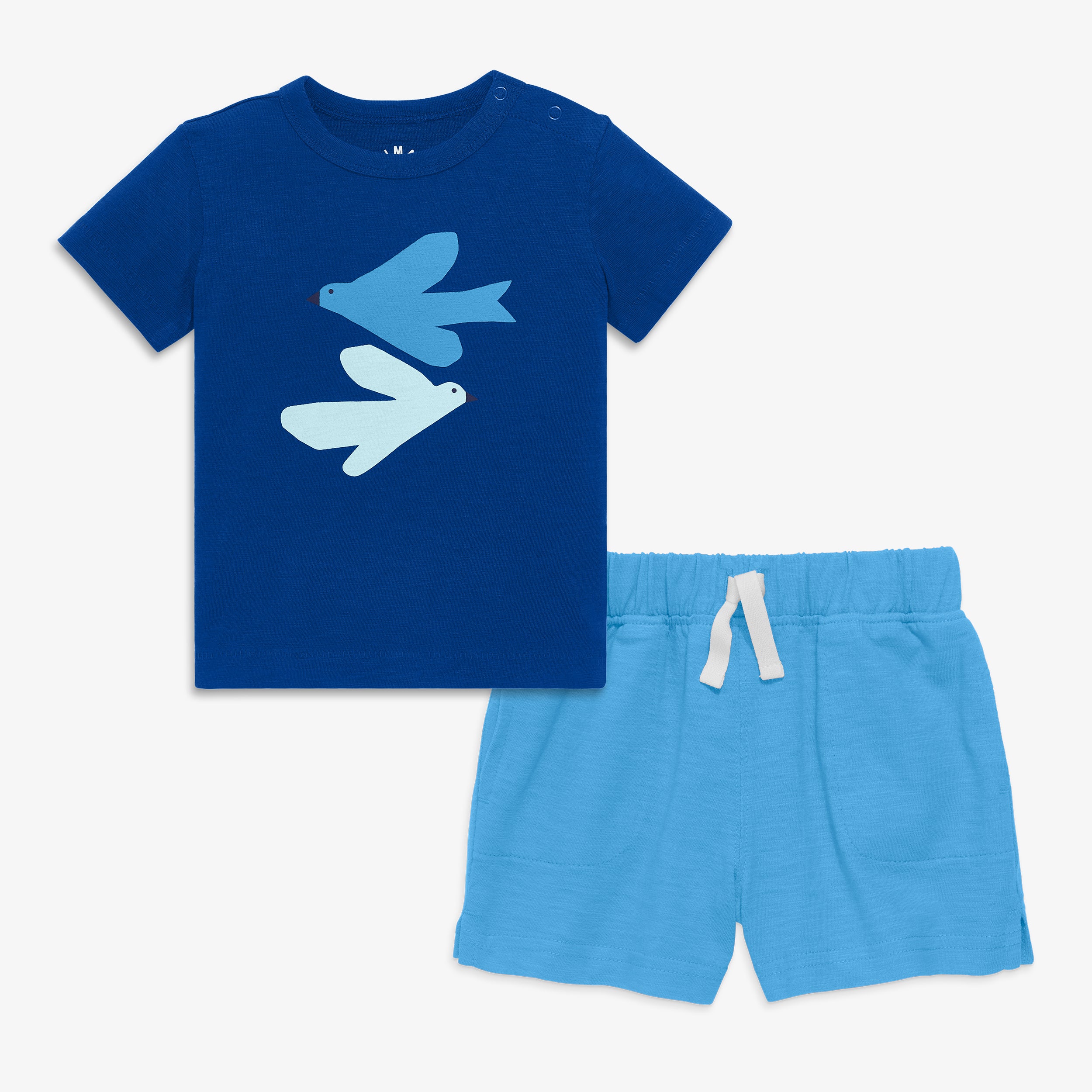 Baby bluejay tee set